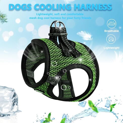 Step in Dog Harness Comfort Mesh Dog Vesr Harness Extra Small Pet Harness for Chihuahua Soft Padded Harness Lightweight Puppy Harness for Cat Doggie Outdoor Walking (Blue1, XX-Small) in Kuwait