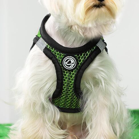 Step in Dog Harness Comfort Mesh Dog Vesr Harness Extra Small Pet Harness for Chihuahua Soft Padded Harness Lightweight Puppy Harness for Cat Doggie Outdoor Walking (Blue1, XX-Small) in Kuwait