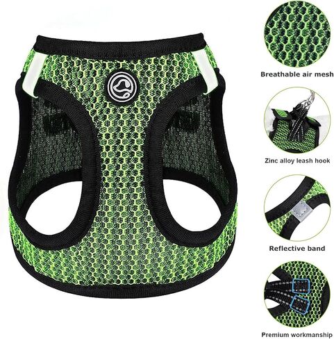Step in Dog Harness Comfort Mesh Dog Vesr Harness Extra Small Pet Harness for Chihuahua Soft Padded Harness Lightweight Puppy Harness for Cat Doggie Outdoor Walking (Blue1, XX-Small) in Kuwait
