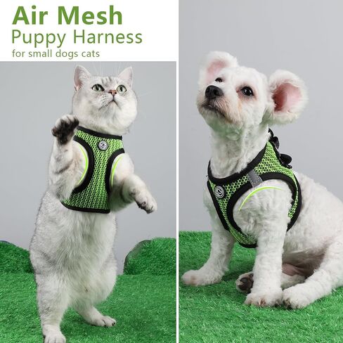 Step in Dog Harness Comfort Mesh Dog Vesr Harness Extra Small Pet Harness for Chihuahua Soft Padded Harness Lightweight Puppy Harness for Cat Doggie Outdoor Walking (Blue1, XX-Small) in Kuwait