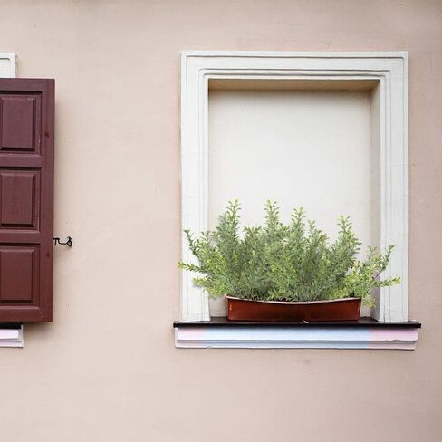 اختيار خشب البقس الاصطناعي من homEdge، 6 حزم 14.5 بوصة في الهواء الطلق مقاومة للأشعة فوق البنفسجية للديكور in Kuwait