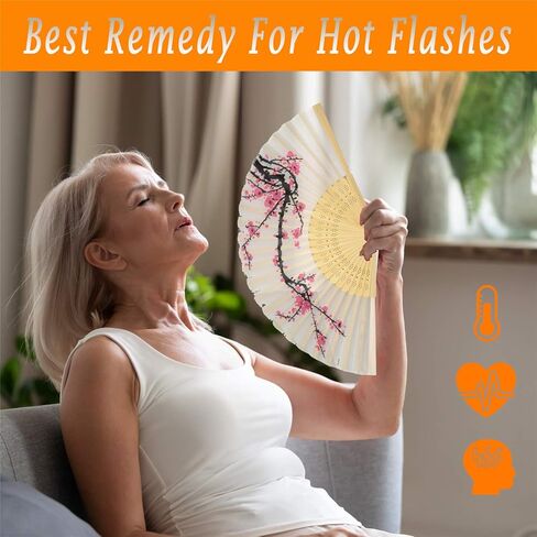 مراوح يدوية قابلة للطي للنساء من Leehome - قطعتان من مراوح حرير الخيزران الصينية اليابانية - للرقص، ومهرجان الموسيقى، وحفلات الزفاف، والحفلات، والديكورات، والهدايا. (زهر البرقوق الأبيض وزهر البرقوق الرمادي) in Kuwait