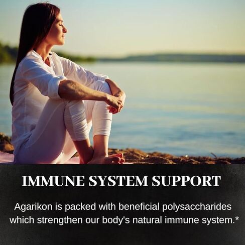 فطر نوماديك أجريكون، 60 كبسولة، 500 مجم لكل منها، دعم المناعة، مستخلص الماء الساخن، أجسام الفاكهة، 30% بوليسكاريد in Kuwait