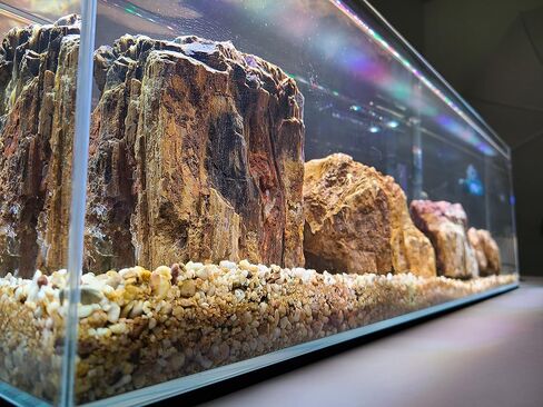 Lifegard Aquatics 6 Gallon Long Ultra Clear Low Iron Bookshelf Aquarium Kit - Heater, LED Light and Algae pad Included in Saudi Arabia