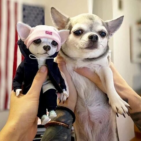 Shiker Standing Dog Doll Figurine Resin Statue Ornament Toy, Cute and Interesting French Bulldog Chihuahua Ornaments Emulation Sculpture, for Home Decoration in Kuwait