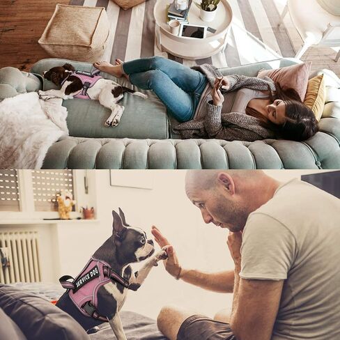 voopet Service Dog Harness, Easy On and Off Over Head Dog Vest Harness Fasten Quickly, Breathable and 3M Reflective Adjustable Pet Halters with Easy Control Handle for Small Medium Large Dogs in Saudi Arabia