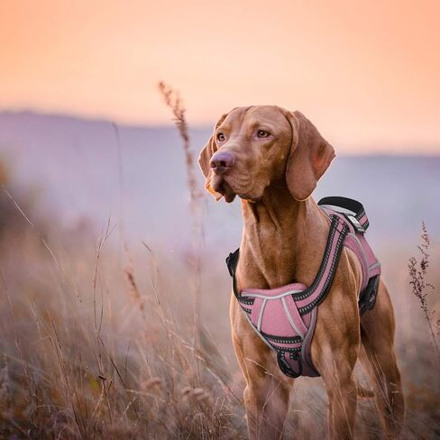 voopet Service Dog Harness, Easy On and Off Over Head Dog Vest Harness Fasten Quickly, Breathable and 3M Reflective Adjustable Pet Halters with Easy Control Handle for Small Medium Large Dogs in Saudi Arabia