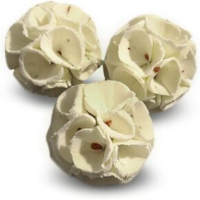 ميريك كرة كريب سولا للببغاء، فرحة تقطيع للرماد الافريقي والكونيور والبكاو، تقلل من التوتر لدى الطيور والناس، ملمس فلين لا يقاوم ونهاية نتف مفرط، 3 كرات في كل عبوة in Kuwait