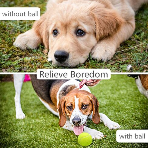 كرة تنس سيجارتي للكلاب، عبوة من 12 كرة، 2.5 بوصة ذات ألوان زاهية سهلة الإمساك بالكلاب، حقيبة شبكية من كرات التنس للكلاب in Kuwait