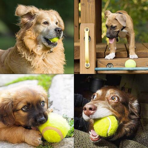 كرة تنس سيجارتي للكلاب، عبوة من 12 كرة، 2.5 بوصة ذات ألوان زاهية سهلة الإمساك بالكلاب، حقيبة شبكية من كرات التنس للكلاب in Kuwait