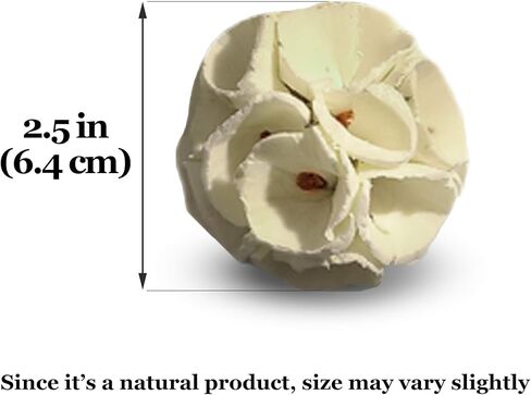 ميريك كرة كريب سولا للببغاء، فرحة تقطيع للرماد الافريقي والكونيور والبكاو، تقلل من التوتر لدى الطيور والناس، ملمس فلين لا يقاوم ونهاية نتف مفرط، 3 كرات في كل عبوة in Kuwait