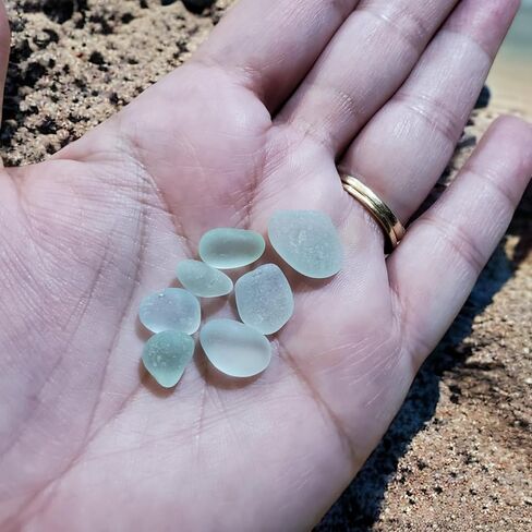 طيور زجاج البحر على فرع مع لوحة فنية مكتبية صغيرة مؤطرة بالحصى in Saudi Arabia