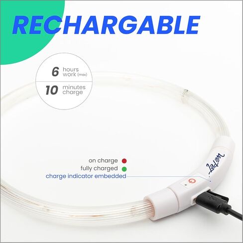 طوق كلب مضيء LED من WePet، قابل لإعادة الشحن عبر USB، قلادة أمان أساسية للمشي ليلاً، ضوء فلاش، متوهج، قابل للقص، قابل للتعديل، مقاس واحد، أخضر in Kuwait
