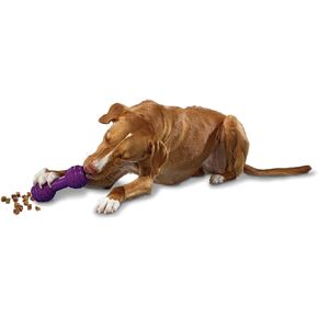 PetSafe Busy Buddy Chuckle Sound Dog Chew Toy - Treat Dispenser