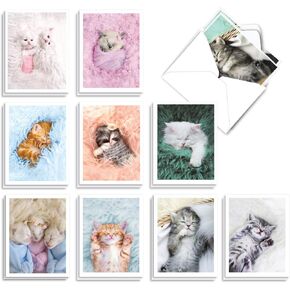 The Best Card Company - 20 Kids Invitation Note Cards with Envelopes (4 x 5.12 Inch) - Box of Assorted RSVP Invites (10 Designs, 2 Each) - Fluffy Furballs AM7168ING-B2x10