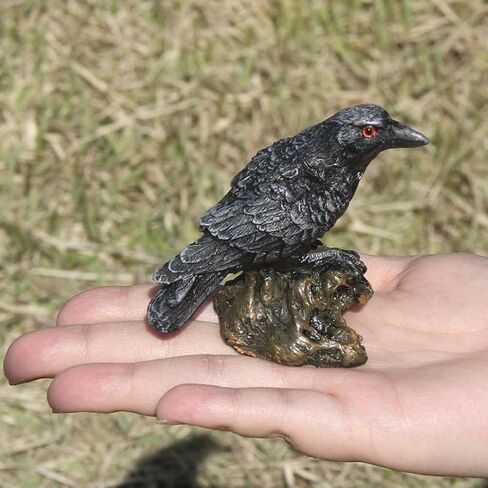 تمثال نصفي للتماثيل النادرة Sunnyhill Raven للتجميع تمثال منحوتات طائر نموذج ديكور المنزل نحت الهدايا الخيالية in Kuwait