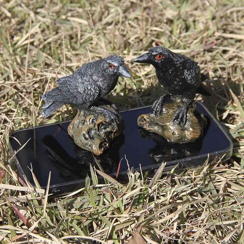 تمثال نصفي للتماثيل النادرة Sunnyhill Raven للتجميع تمثال منحوتات طائر نموذج ديكور المنزل نحت الهدايا الخيالية in Kuwait