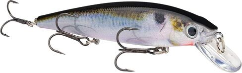 Strike King Strike King Lures KVD Jerkbaits 4 ' Length Hook 1 Package of in Kuwait