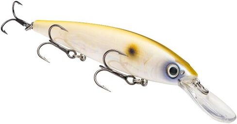 Strike King Strike King Lures KVD Jerkbaits 4 ' Length Hook 1 Package of in Kuwait