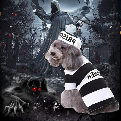 Prisoner Dog Costume Prison Pooch Dog Halloween Costumes, Halloween Costume for Small Medium Dogs, Pet Prisoner Costume with Hat for Halloween Christmas Birthday Party Photo Props Accessories in Kuwait