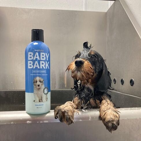 شامبو بارك تو بيسكس للكلاب الصغيرة، 16 أونصة - مكونات مشتقة طبيعيًا، مُصمم للجراء، درجة العناية الاحترافية، لطيف على البشرة الجافة أو الحساسة، صنع في الولايات المتحدة الأمريكية in Kuwait