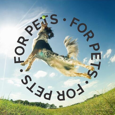 شامبو بارك تو بيسكس للكلاب الصغيرة، 16 أونصة - مكونات مشتقة طبيعيًا، مُصمم للجراء، درجة العناية الاحترافية، لطيف على البشرة الجافة أو الحساسة، صنع في الولايات المتحدة الأمريكية in Kuwait