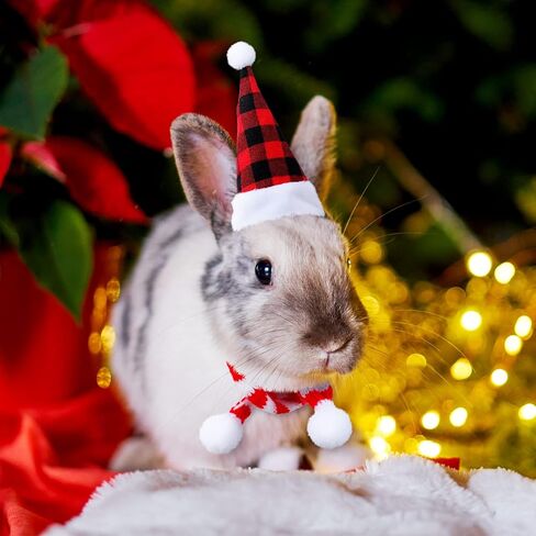 12 Pieces Christmas Guinea Pig Costume Chicken Hat Scarf Set Xmas Hat and Scarf Rabbit Christmas Clothes Festival Small Animal Outfits for Hen Duck Hamster Guinea Pig Kitten Puppy Parrot in Saudi Arabia