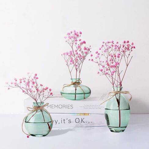 مجموعة مزهريات برعم زجاجية مكونة من 3 مزهريات زهور صغيرة مع تصميم حبل مزخرف واشكال فريدة مختلفة للديكور الحديث in Kuwait