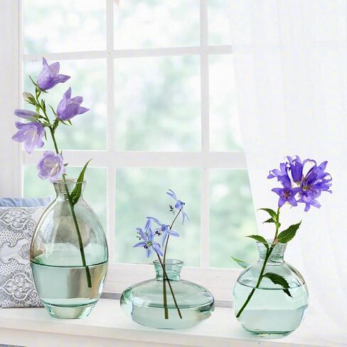 مجموعة مزهريات برعم زجاجية مكونة من 3 مزهريات زهور صغيرة مع تصميم حبل مزخرف واشكال فريدة مختلفة للديكور الحديث in Kuwait