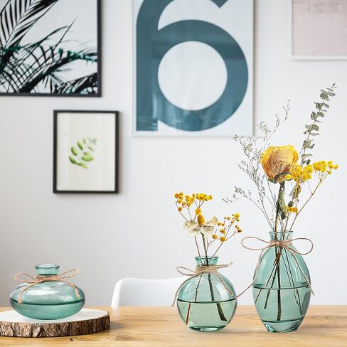 مجموعة مزهريات برعم زجاجية مكونة من 3 مزهريات زهور صغيرة مع تصميم حبل مزخرف واشكال فريدة مختلفة للديكور الحديث in Kuwait