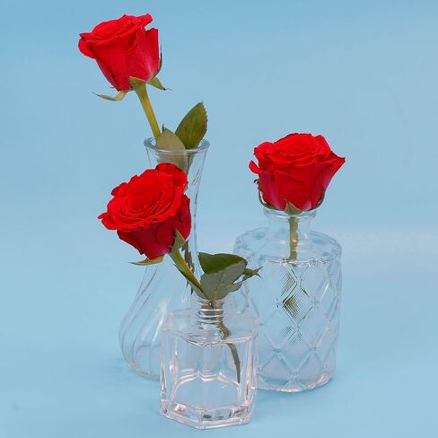 مجموعة مزهريات براعم زجاجية صغيرة كلاسيكية للقطع المركزية وديكور الزفاف الريفي وزهور الربيع وديكور المنزل من 30 قطعة in Kuwait