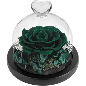 DuHouse Forever Roses Preserved Real Flowers Eternal Enchanted Rose Flower Box for Valentines Birthday Anniversary Mother's Day Christmas (Dark Green) in Kuwait