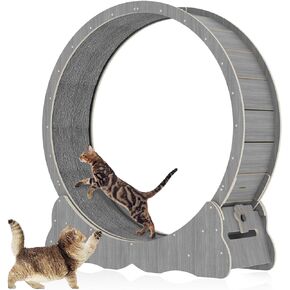 Cat Wheel Cat Exercise Wheel Cat Wheels for Indoor Cats Cat Wheel Exerciser Cats Loss Weight Device Preventing Cat Lack of Exercise for Indoor Cats Cat Treadmill for All Cats (39in2) in Kuwait