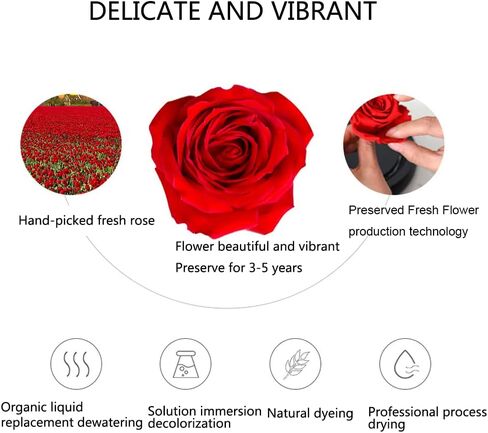 تمثال ملاك ورود حقيقية محفوظة من ار زد اكس واي واي جي اس، وردة مضيئة في قبة زجاجية، زهور للابد، هدايا رومانسية للذكرى السنوية للزفاف، اعياد الميلاد، عيد الام من الابنة والام والزوجة - احمر in Kuwait
