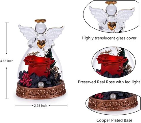 تمثال ملاك ورود حقيقية محفوظة من ار زد اكس واي واي جي اس، وردة مضيئة في قبة زجاجية، زهور للابد، هدايا رومانسية للذكرى السنوية للزفاف، اعياد الميلاد، عيد الام من الابنة والام والزوجة - احمر in Kuwait