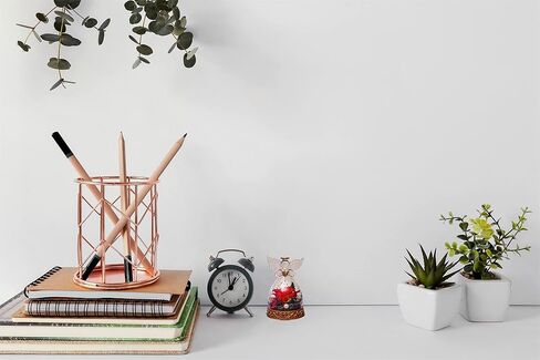 تمثال ملاك ورود حقيقية محفوظة من ار زد اكس واي واي جي اس، وردة مضيئة في قبة زجاجية، زهور للابد، هدايا رومانسية للذكرى السنوية للزفاف، اعياد الميلاد، عيد الام من الابنة والام والزوجة - احمر in Kuwait