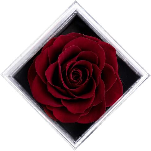 وردة بيضاء محفوظة حقيقية من تيارونيكس - صندوق هدايا الورد الأبدي مع قلادة الورد، هدية وردة طازجة مصنوعة يدويًا لها في عيد الميلاد، والكريسماس، وعيد الأم، وعيد الحب (أبيض) in Kuwait