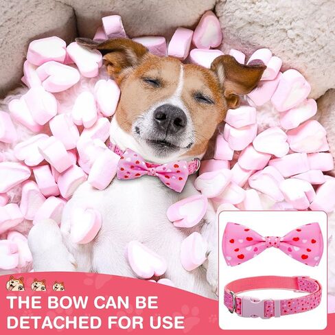 4 Pack Valentine's Day Dog Collar with Bow Tie Cute Heart Collar for Small Dogs Puppy Pet Valentines Day Accessories Holiday Bowtie Dog Collar Pink, Red, Rose Red, Light Pink in Saudi Arabia