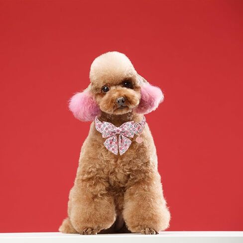 Dog Collar with Bow Tie,UP URARA PUP Pink Plaid Bowtie Dog Collar, Summer Bowtie Collar for Puppy Boy Girl Dog, Comfortable Cotton Dog Collar with Metal Buckle,M,Neck 13.5-22in in Saudi Arabia