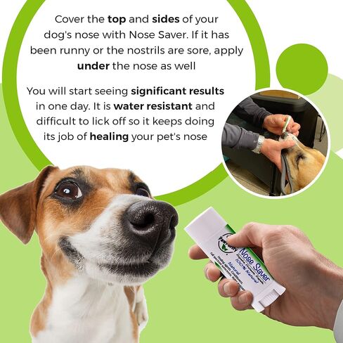 واقي الأنف من PawPurity - بلسم أنف الكلاب الخاص بنا يوفر راحة للأنف الخشن والمتشقق والجاف | حماية من الأشعة فوق البنفسجية/الأشعة فوق البنفسجية | مهدئ الخطم للكلاب والقطط آمن لمن يلعقون | يحتوي على زيوت الصبار والباباسو واللوز in Kuwait