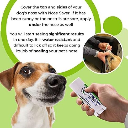واقي الأنف من PawPurity - بلسم أنف الكلاب الخاص بنا يوفر راحة للأنف الخشن والمتشقق والجاف | حماية من الأشعة فوق البنفسجية/الأشعة فوق البنفسجية | مهدئ الخطم للكلاب والقطط آمن لمن يلعقون | يحتوي على زيوت الصبار والباباسو واللوز in Kuwait