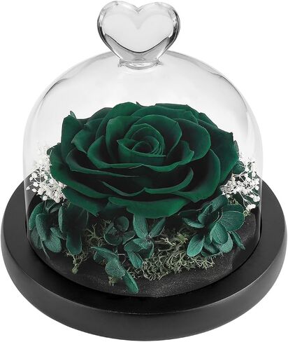 صندوق زهور DuHouse Forever Roses المحفوظة بالزهور الحقيقية الأبدية المسحورة لعيد الحب وأعياد الميلاد والذكرى السنوية وعيد الأم (أخضر داكن) in Kuwait