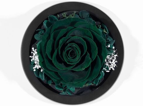 صندوق زهور DuHouse Forever Roses المحفوظة بالزهور الحقيقية الأبدية المسحورة لعيد الحب وأعياد الميلاد والذكرى السنوية وعيد الأم (أخضر داكن) in Kuwait