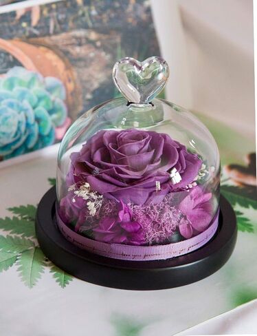صندوق زهور DuHouse Forever Roses المحفوظة بالزهور الحقيقية الأبدية المسحورة لعيد الحب وأعياد الميلاد والذكرى السنوية وعيد الأم (أخضر داكن) in Kuwait