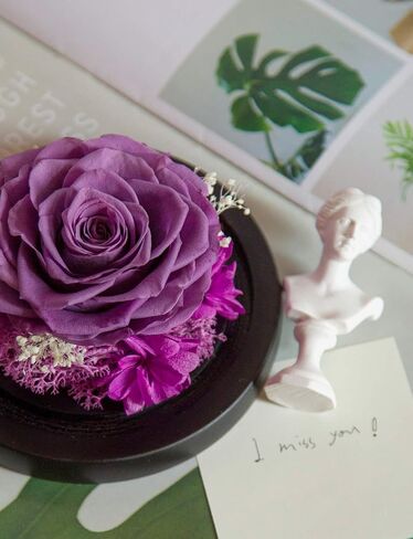 صندوق زهور DuHouse Forever Roses المحفوظة بالزهور الحقيقية الأبدية المسحورة لعيد الحب وأعياد الميلاد والذكرى السنوية وعيد الأم (أخضر داكن) in Kuwait