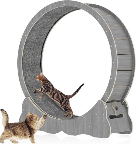 Cat Wheel Cat Exercise Wheel Cat Wheels for Indoor Cats Cat Wheel Exerciser Cats Loss Weight Device Preventing Cat Lack of Exercise for Indoor Cats Cat Treadmill for All Cats (39in2) in Kuwait