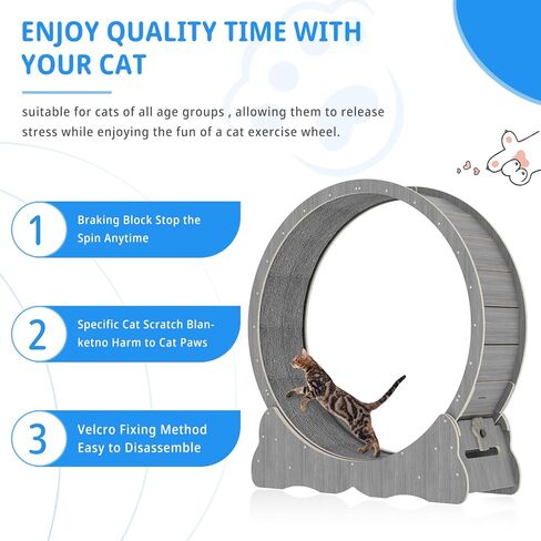 Cat Wheel Cat Exercise Wheel Cat Wheels for Indoor Cats Cat Wheel Exerciser Cats Loss Weight Device Preventing Cat Lack of Exercise for Indoor Cats Cat Treadmill for All Cats (39in2) in Kuwait