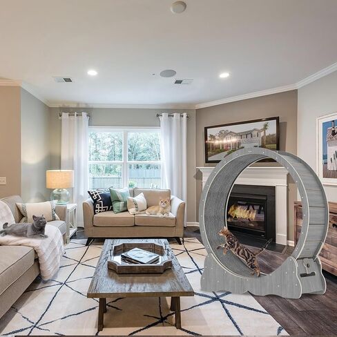 Cat Wheel Cat Exercise Wheel Cat Wheels for Indoor Cats Cat Wheel Exerciser Cats Loss Weight Device Preventing Cat Lack of Exercise for Indoor Cats Cat Treadmill for All Cats (39in2) in Kuwait