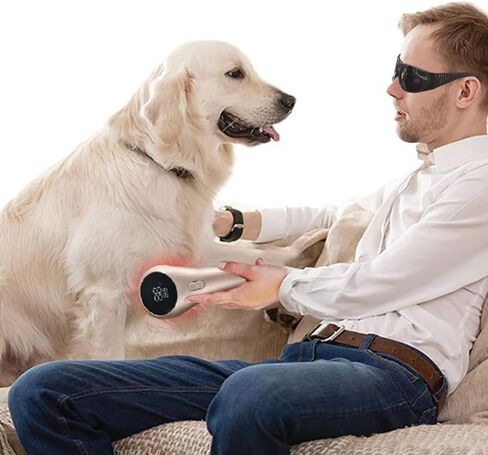 جهاز علاج بالضوء الاحمر للكلاب والقطط والخيول لتخفيف الام العضلات والمفاصل، 5 × 808 نانومتر + 11 × 650 نانومتر in Kuwait