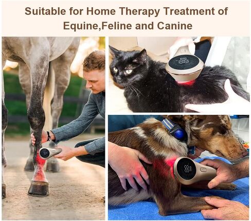 جهاز علاج بالضوء الاحمر للكلاب والقطط والخيول لتخفيف الام العضلات والمفاصل، 5 × 808 نانومتر + 11 × 650 نانومتر in Kuwait